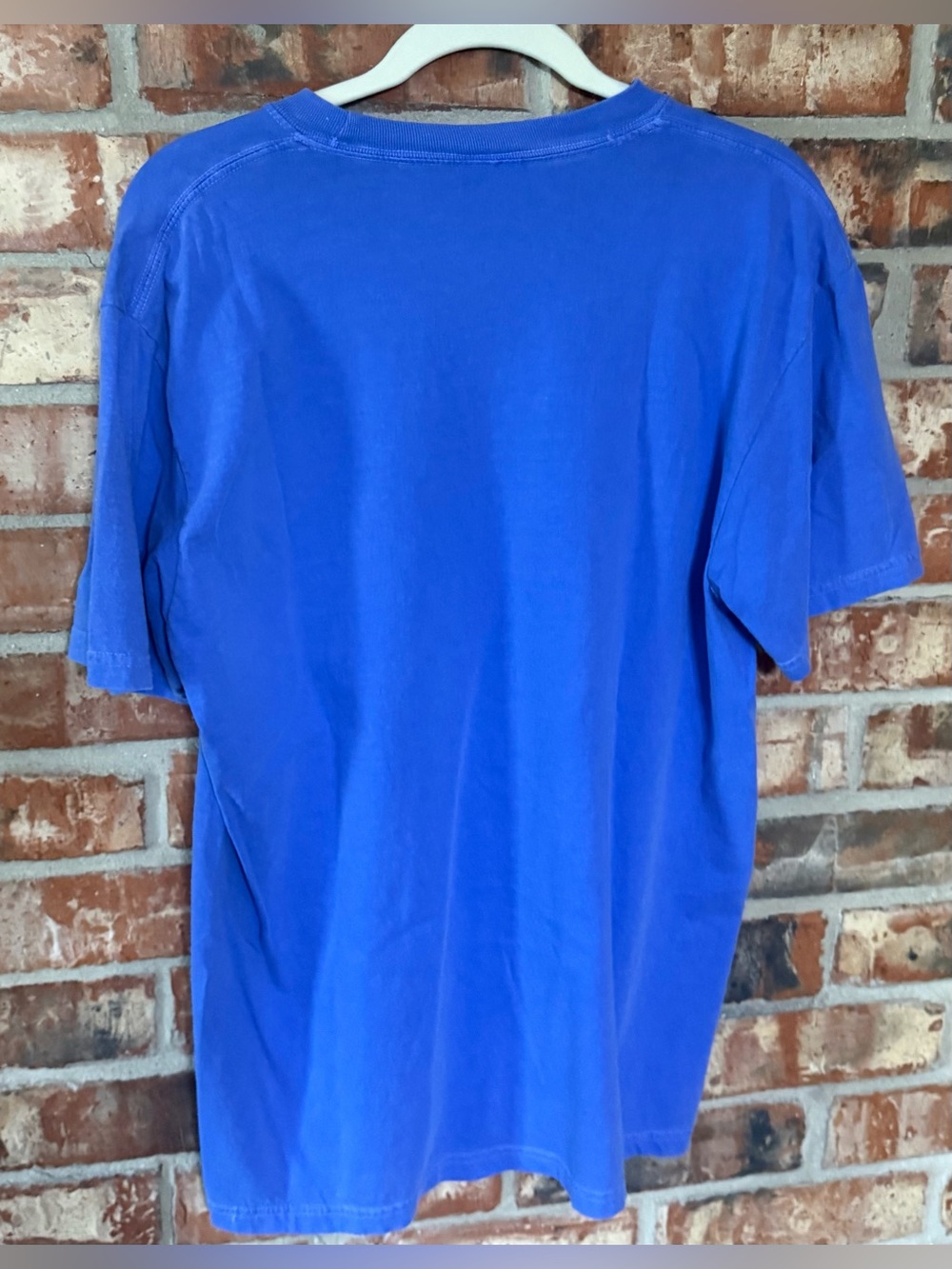 Comfort Colors Blue Short Sleeve Tee with Tiger Graphic - Picture 3 of 6